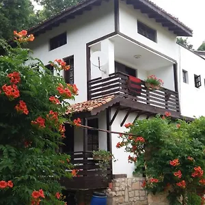 Nasco , Goldstrand Bulgarien